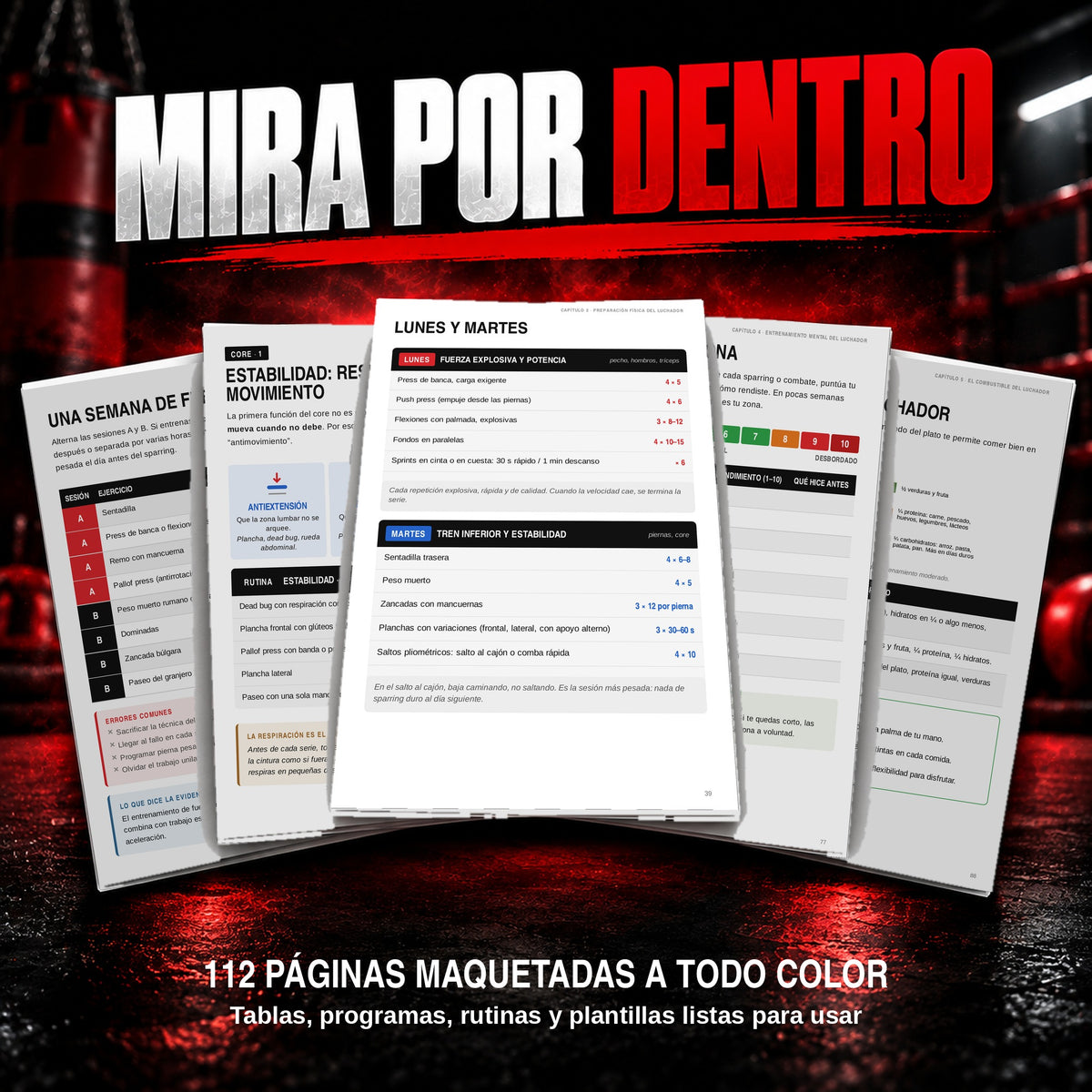 El Luchador Completo | Manual de Deportes de Contacto